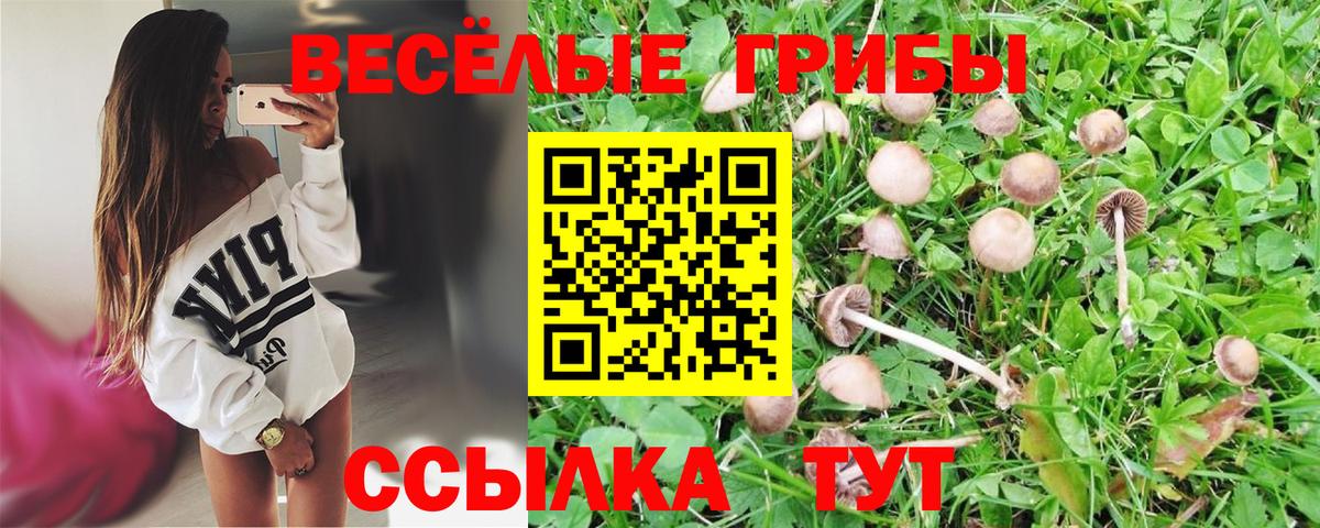 Галлюциногенные грибы Cubensis Сорочинск