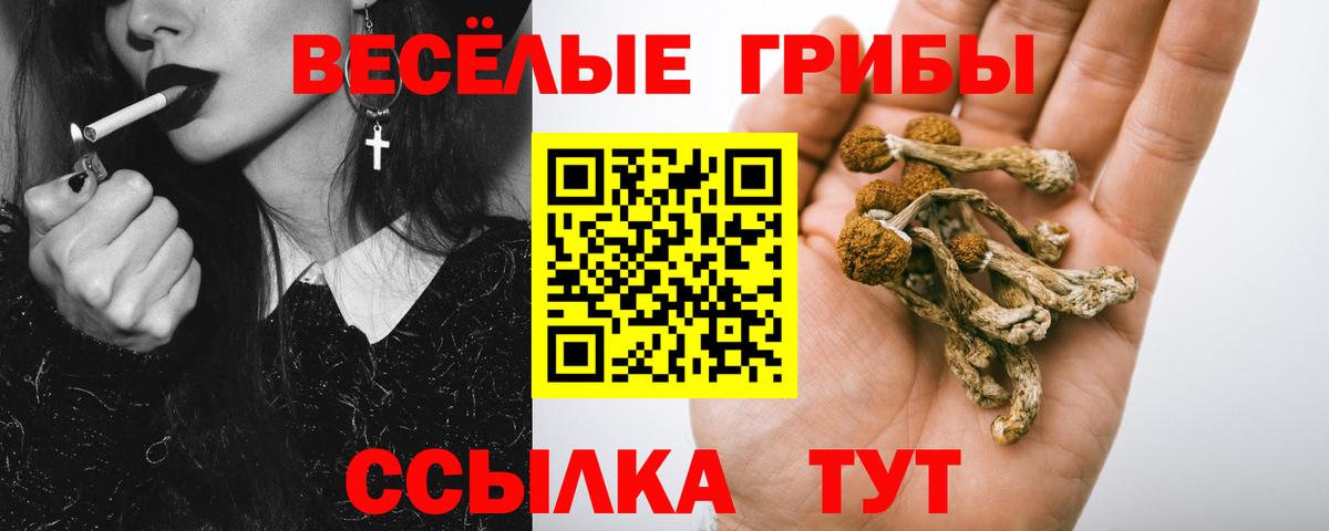 Сорочинск  Псилоцибиновые грибы прущие грибы  Вход с VPN 