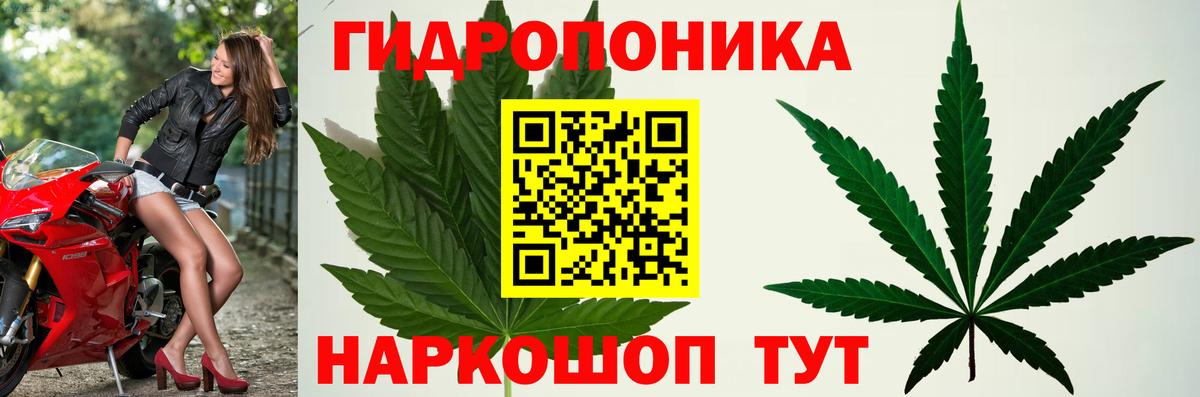 Конопля ГИДРОПОН  Бошки Шишки планчик  Конопля гибрид  Вход с VPN  Бошки марихуана MAZAR  Сорочинск 